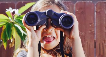 Looking For Leadership