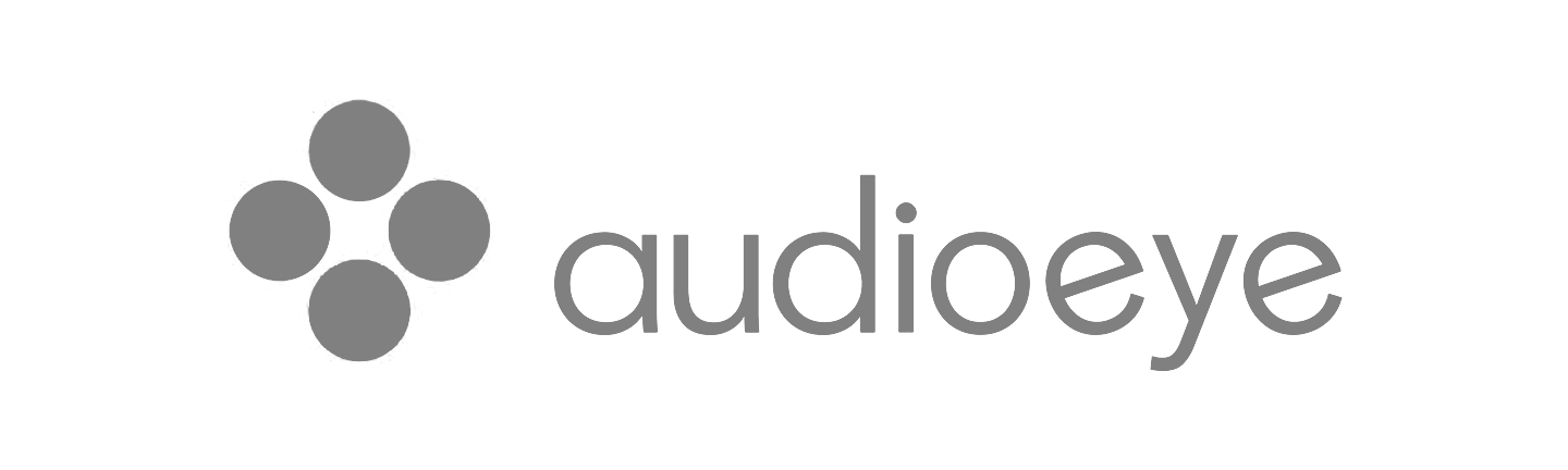 Audioeye Software Executive Search Firm