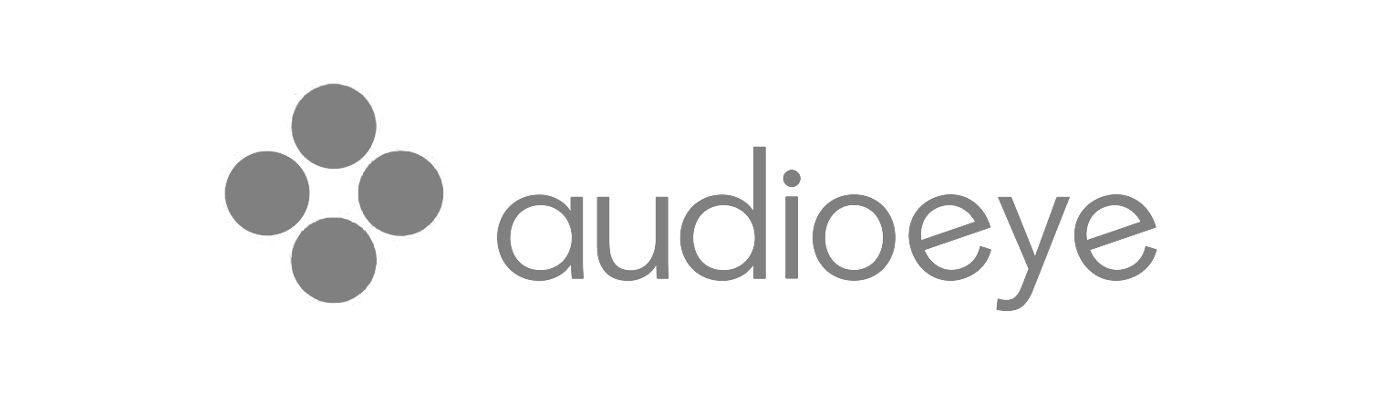 Audioeye Software Executive Search Firm