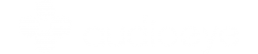 Audioeye Software retuvo la búsqueda de ejecutivos