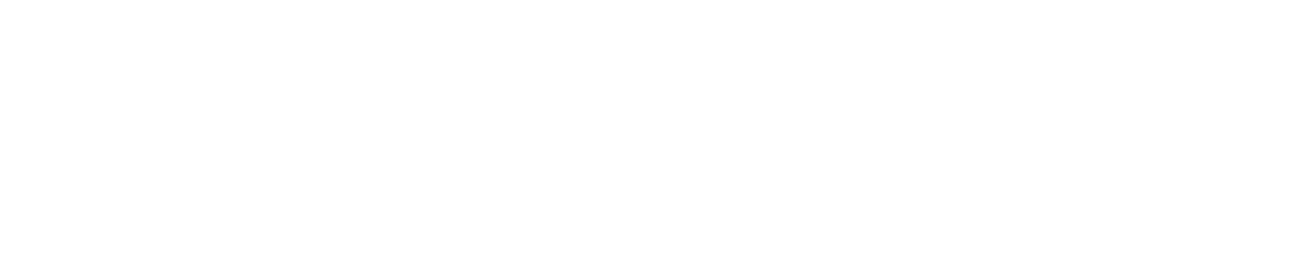 Audioeye Software Retained Search for Executives