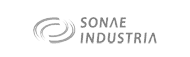 sonae industrie