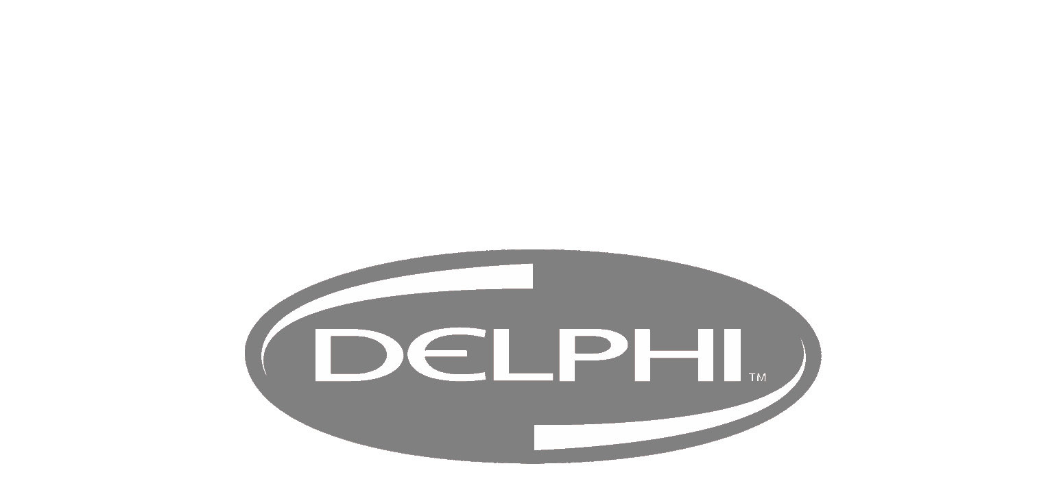 Consultoría de Liderazgo y Reclutamiento de Ejecutivos de Delphi Automotive