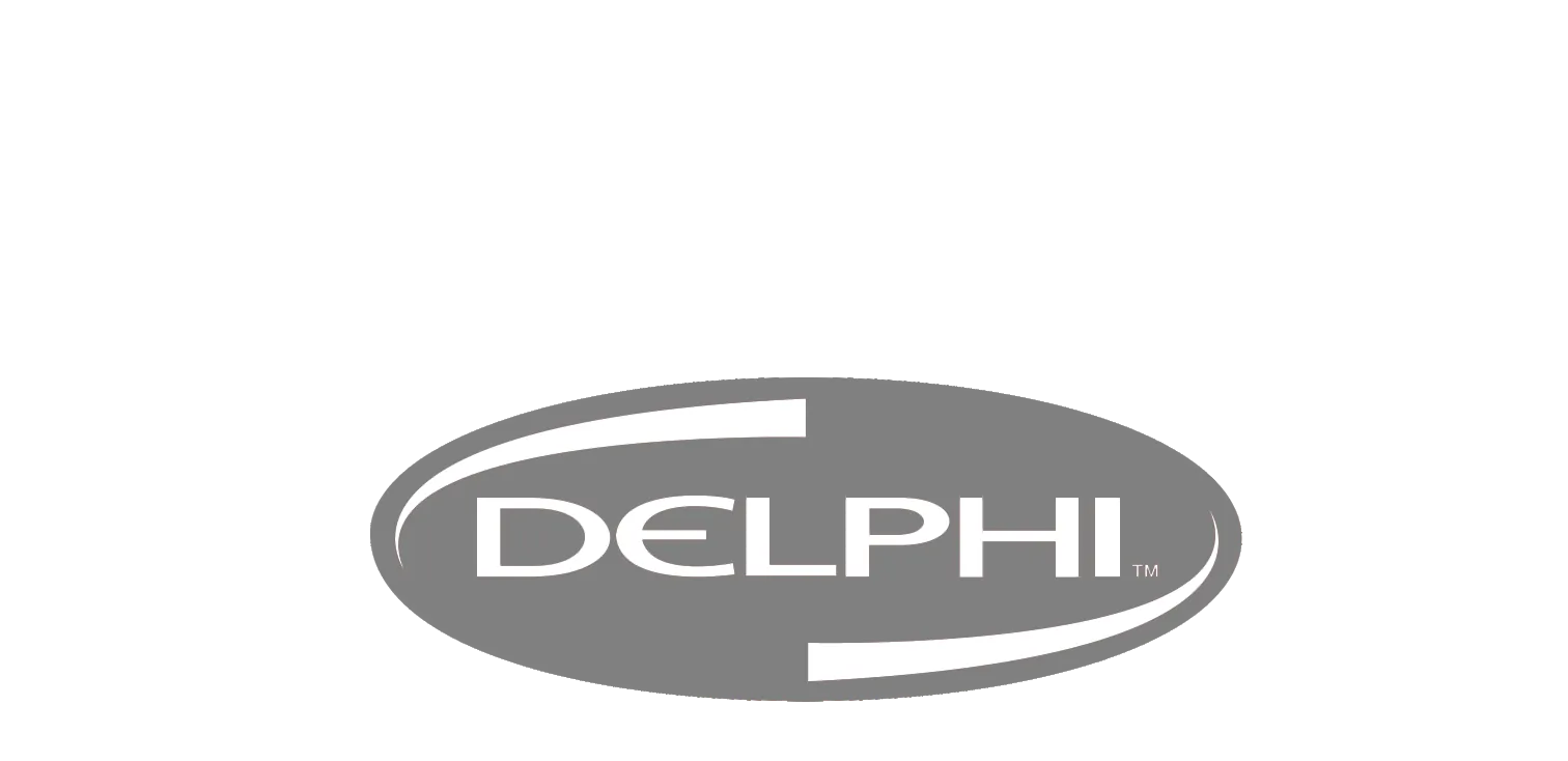 Delphi Automotive Executive Recruiting and Leadership Advisory