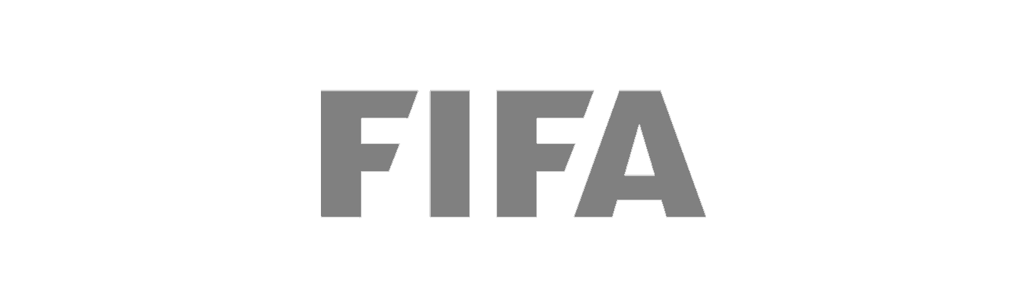 Firma de búsqueda de la junta sin fines de lucro de la FIFA