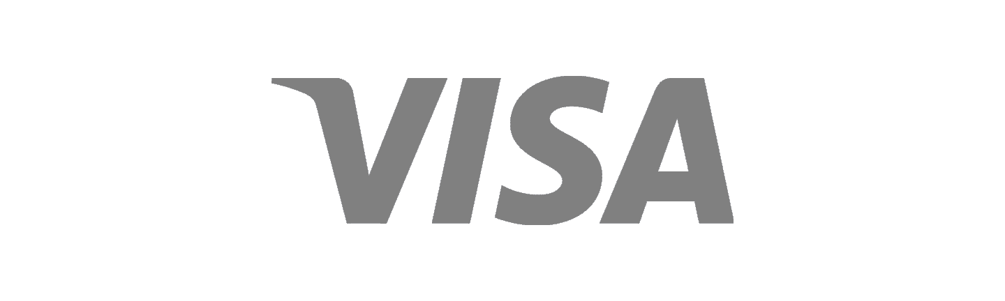 Visa Financial Services Executive Recruiting