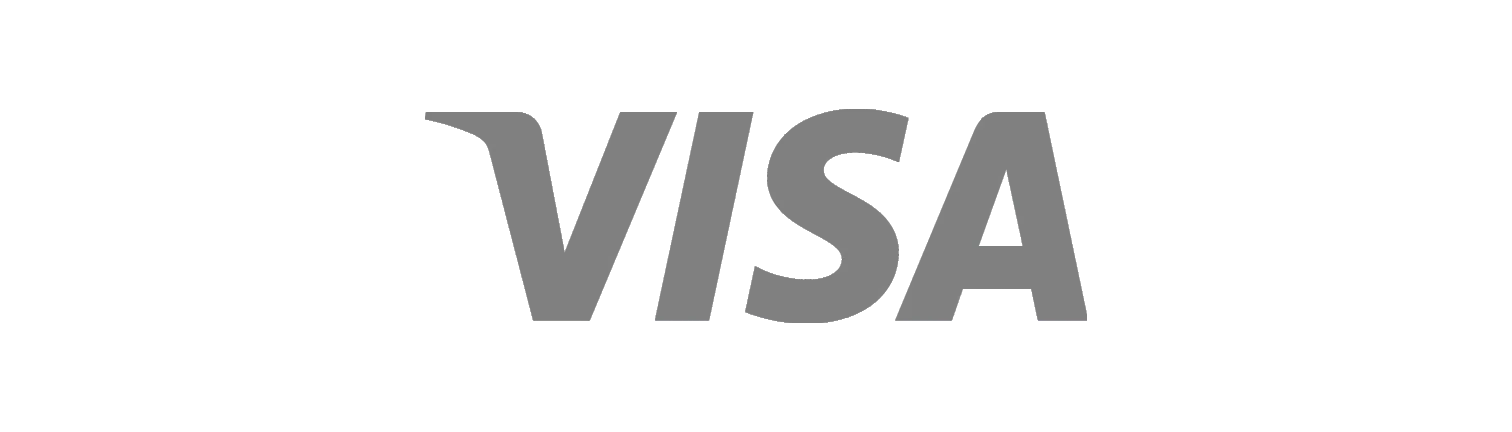 Visa Financial Services Executive Recruiting