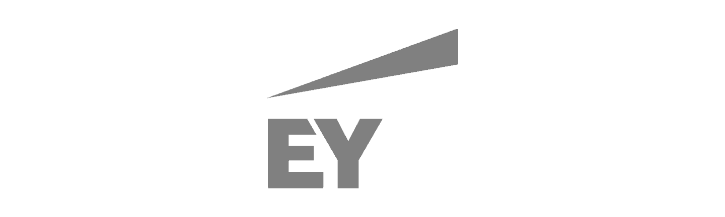 Ernst and Young Professional Services Executive Search