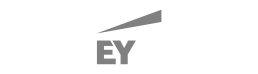 Ernst and Young Professional Services Executive Search