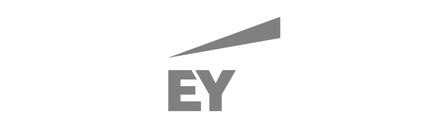 Ernst and Young Professional Services Executive Search