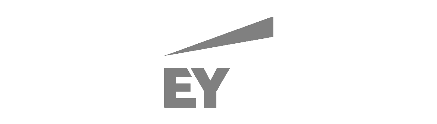 Ernst and Young Services professionnels Recherche de cadres