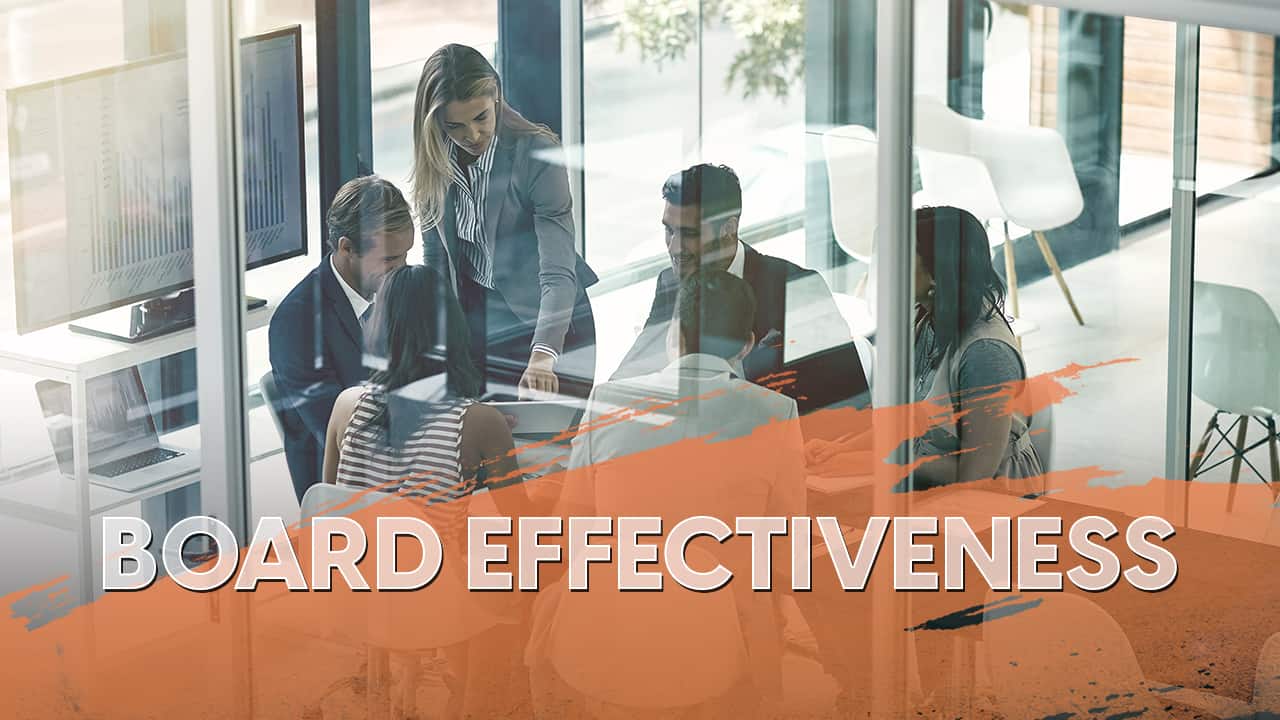 Board Effectiveness Solutions Board Evaluation N2Growth