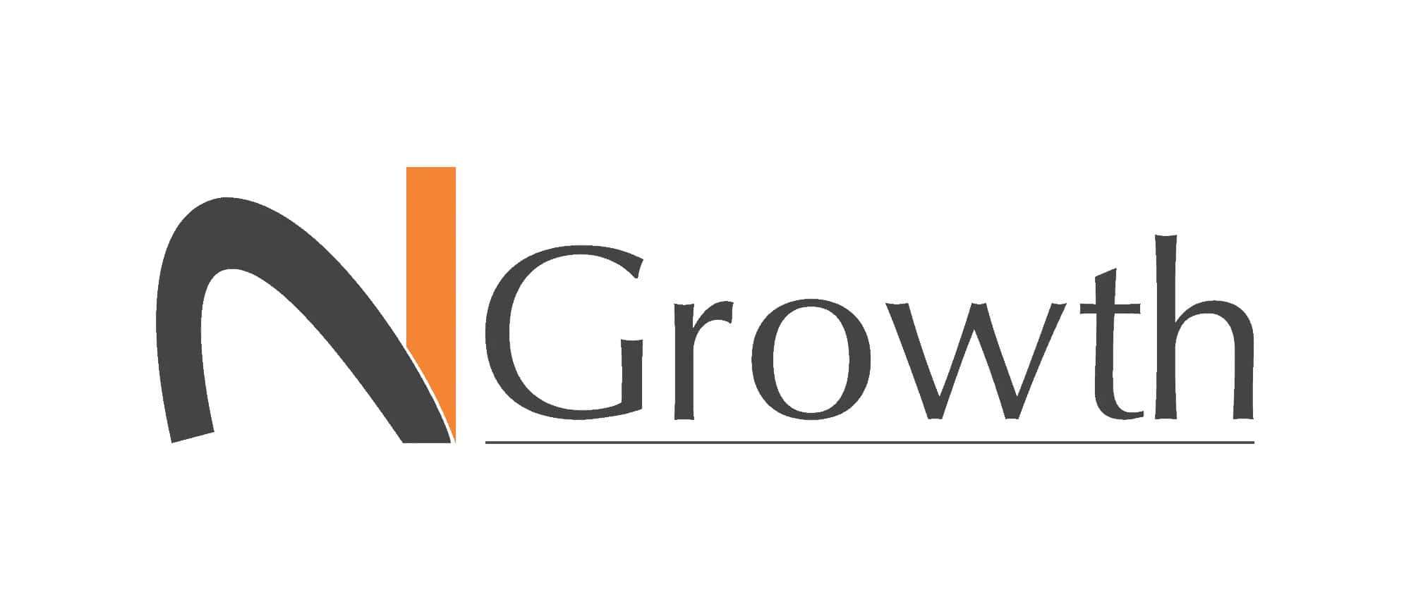 N2Growth Executive Search Firm & Leadership Advisory