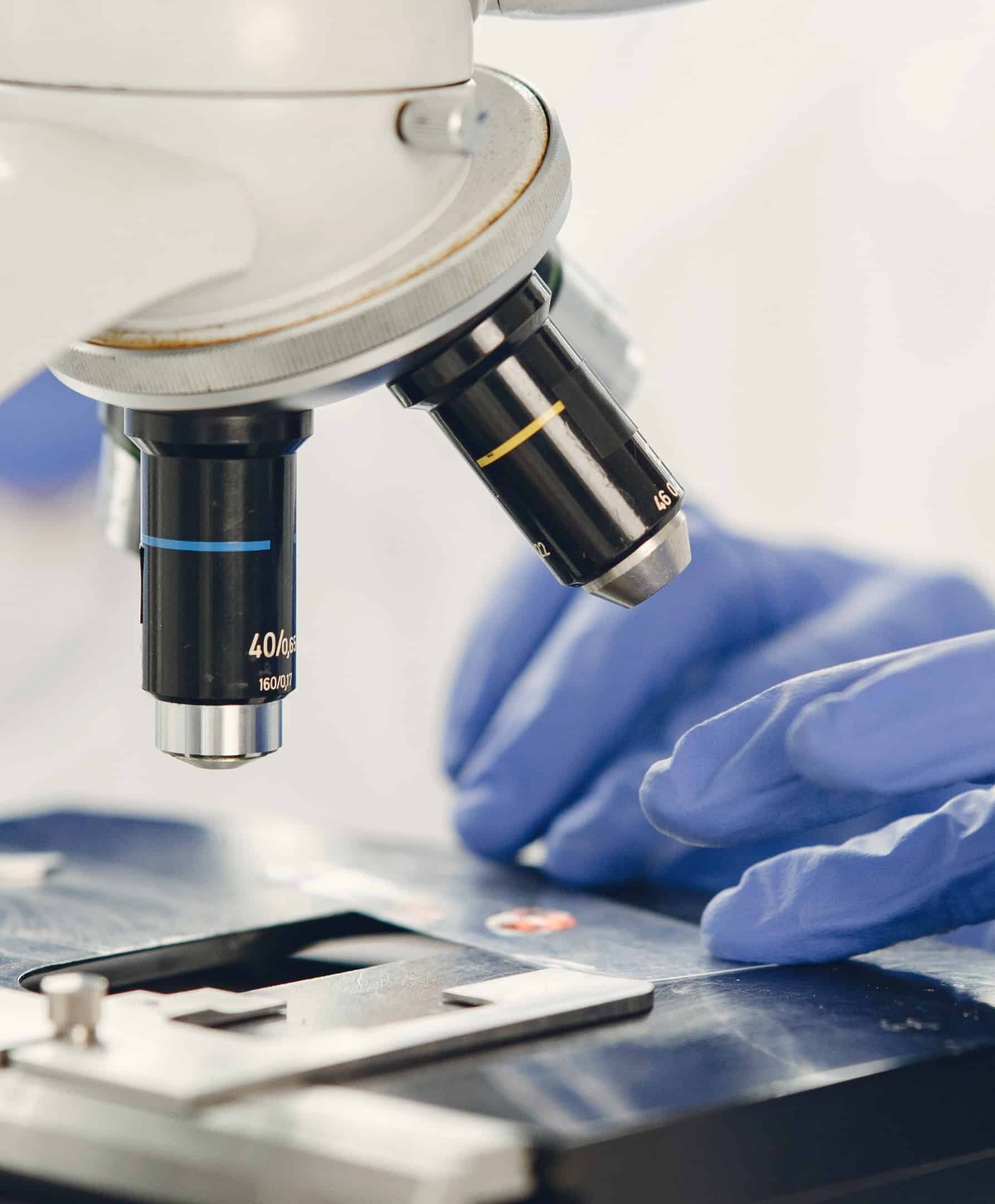 Een onderzoeker met handschoenen plaatst een preparaat onder een microscoop in een biowetenschappelijk laboratorium, ter ondersteuning van recruiters in de biowetenschappelijke sector.