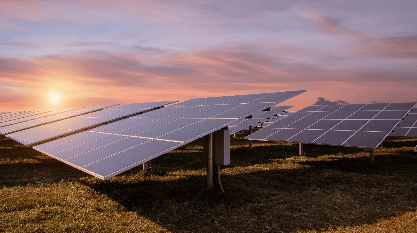Solar panel field at sunset, representing change across the energy industry.