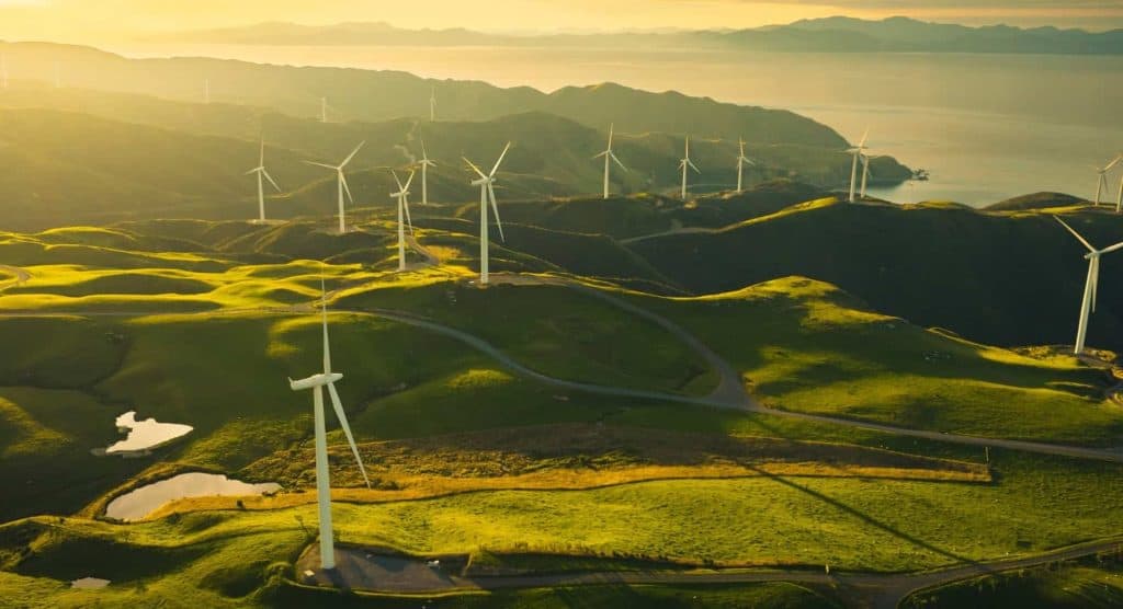 Sustainable Growth Strategies: How Top Executives Are Innovating for a Greener Future