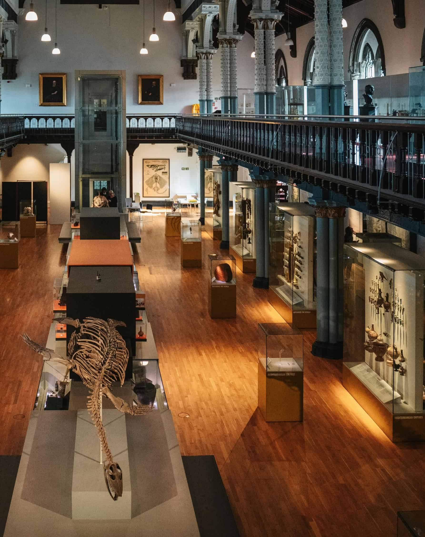 A grand museum gallery with fossil displays and artifact cases inside a historic cultural institution.