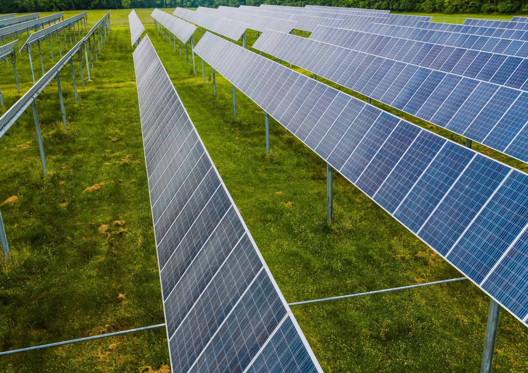 Rows of ground-mounted solar panels at a utility-scale renewables and clean energy installation on open grassland.