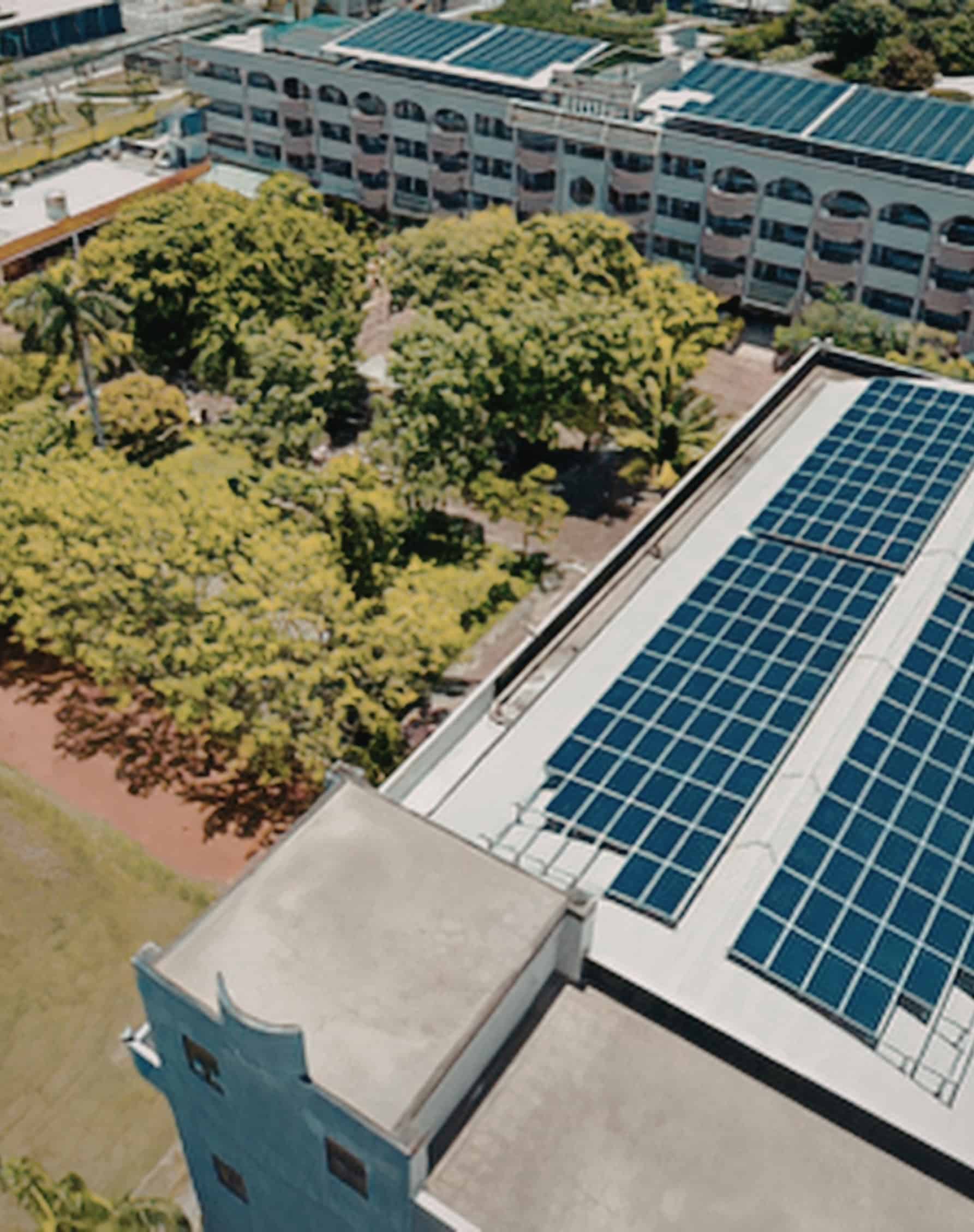 Aerial view of a social impact organization with rooftop solar panels and surrounding green trees.