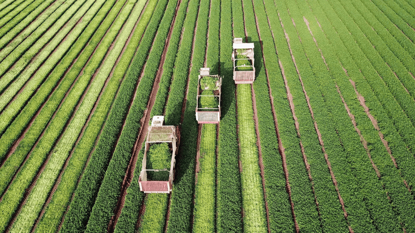 Aerial view of harvest machinery in row crops, the seasonal window agriculture executive search firms plan around.